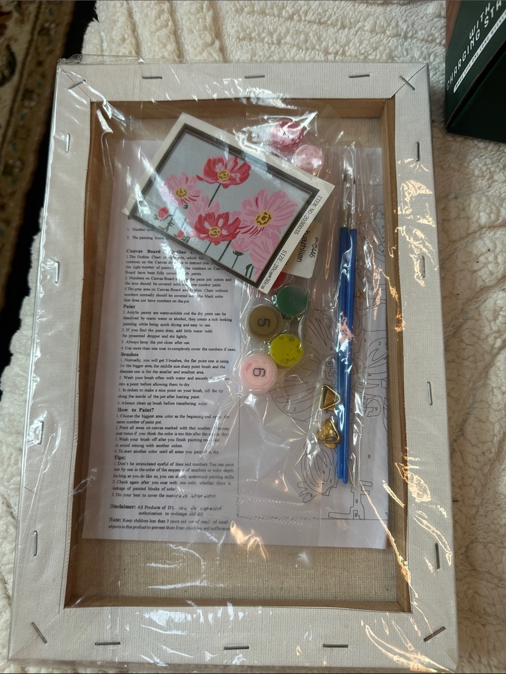 Paint-by-Number Floral Canvas Kit with Pink Flowers